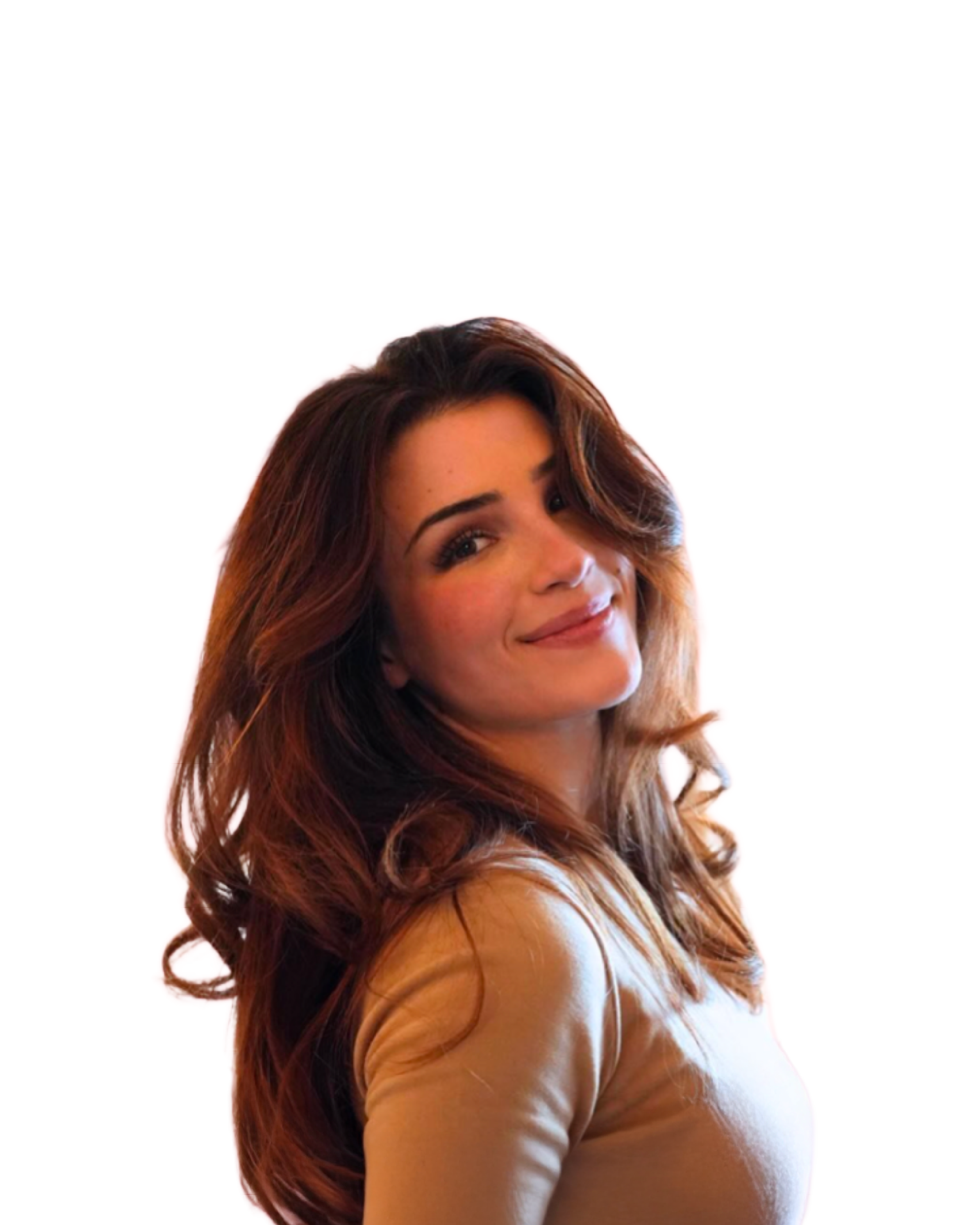 Visuel du projet INES